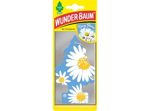 Wunder-Baum Daisy Flower